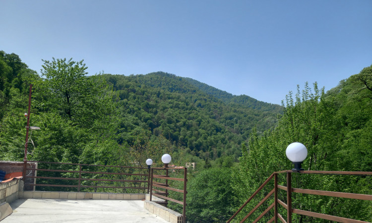 اجاره ویلای جنگلی رویایی