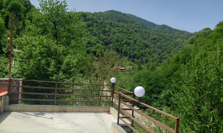 اجاره ویلای جنگلی رویایی