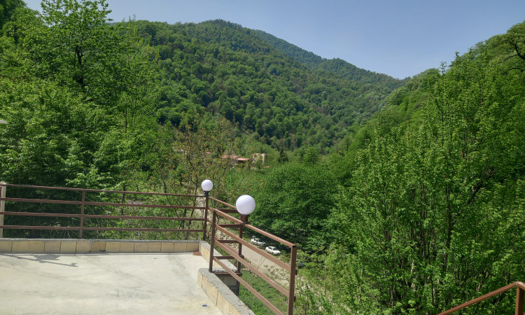 اجاره ویلای جنگلی رویایی