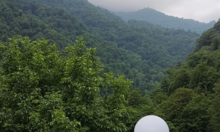 اجاره ویلای جنگلی رویایی