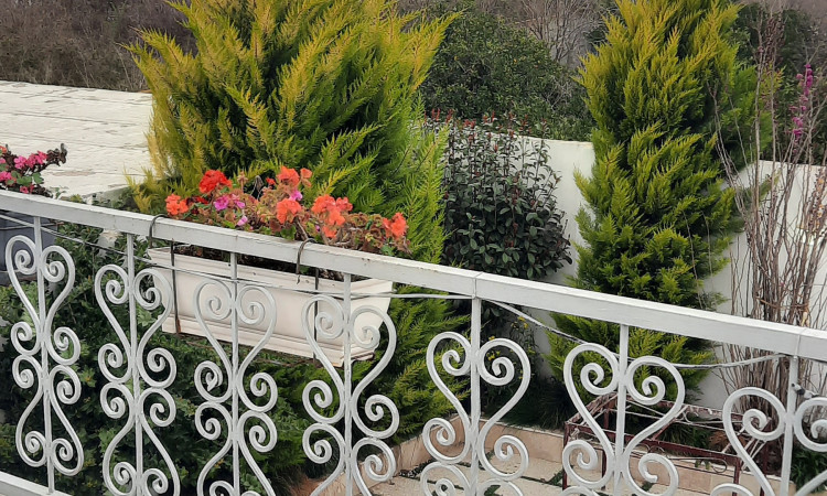 اجاره ویلای استخردار برسام