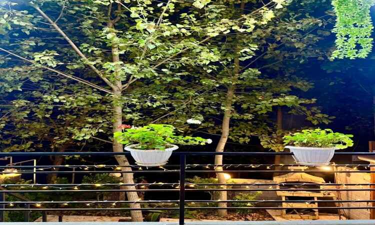 اجاره کلبه چوبی دوخوابه جکوزی دار پناه