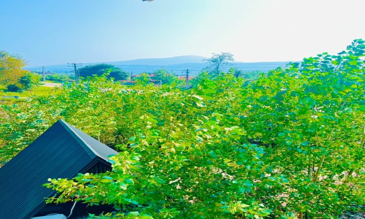 اجاره کلبه چوبی دوخوابه جکوزی دار پناه