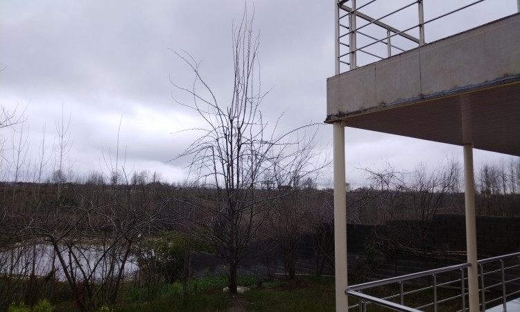 اجاره ویلا روستایی امین
