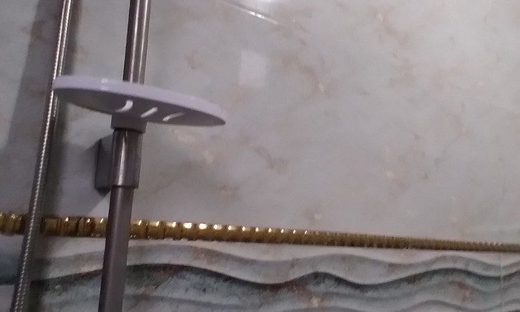 اجاره آپارتمان جنگلی توکلی