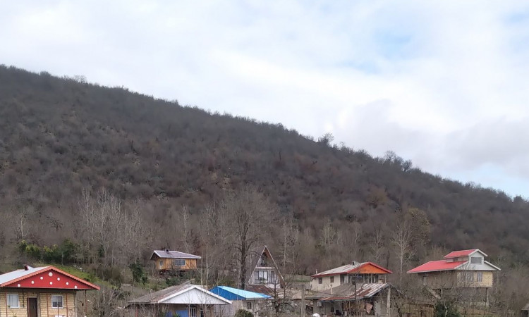 اجاره آپارتمان جنگلی توکلی
