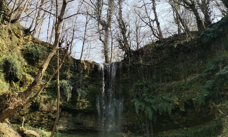 خانه روستایی در بورخانی لفور _ اتاق شوکا