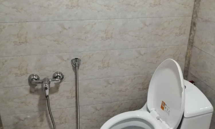 ویلای چوبی سوئیسی گرین لانژ