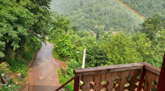 اجاره ویلا تک خواب جنگلی