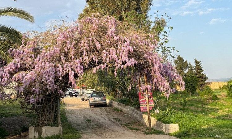 رزرو خانه مسافر نیلکوه گلستان(اتاق یک)
