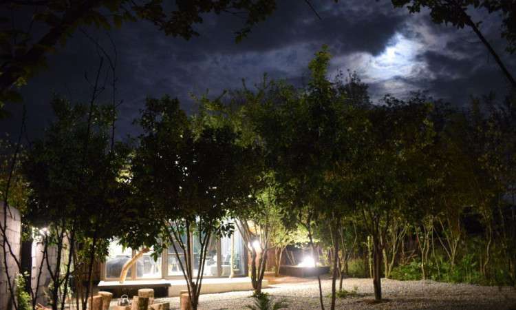 اجاره کلبه جنگلی توکا