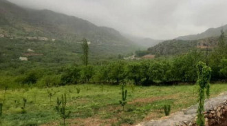 اجاره ویلایی احسان طبقه 2