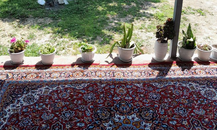 اجاره ویلا جنگلی 2 خوابه جعفری