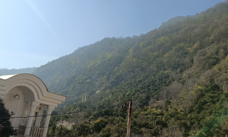 اجاره کلبه چوبی جکوزی دار تمشک