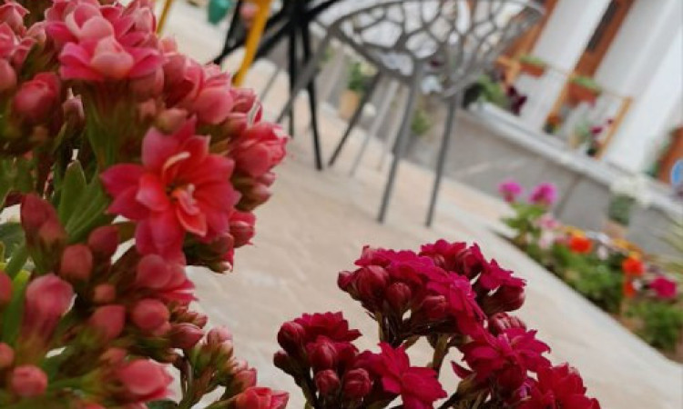 حجز فندق بوتيك خان الصديق وحدة 7