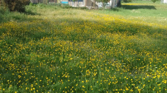 اجاره آپارتمان دو خوابه فرهاد