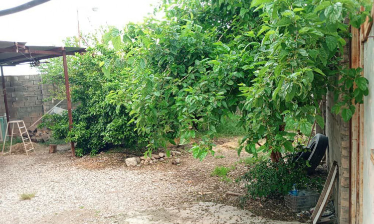 رزرو ویلای تک خوابه مهرگان کدک