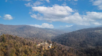 غرفة نوم غابة روجين