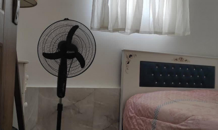 اجاره ویلا تک خواب ماه مونا