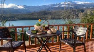 ولاية ليفورت