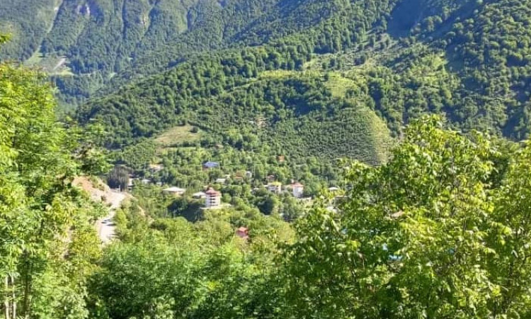 اجاره ویلا باغ دو خوابه سالار