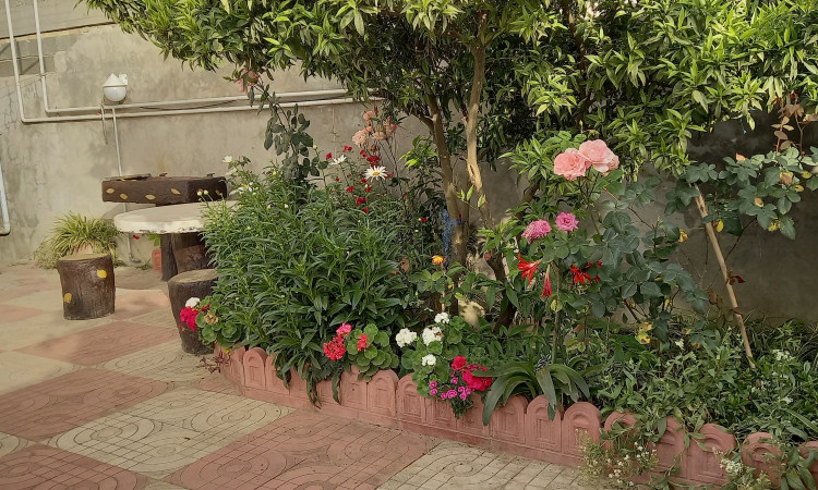 اجاره آپارتمان دوخوابه علوی