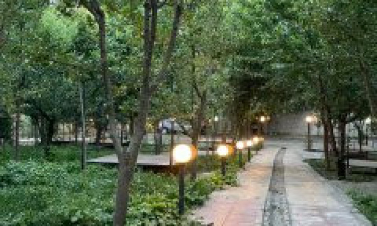 اجاره واحد 2 خواب جنگلی السای