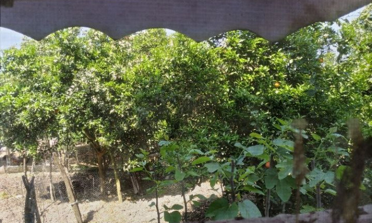 اجاره آپارتمان دو خوابه 130 متر آمل