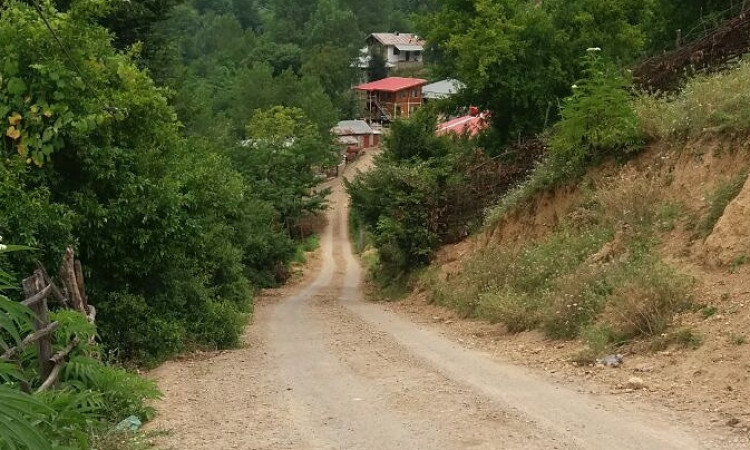اجاره کلبه چوبی سرچشمه 2