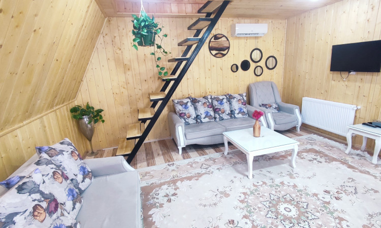 اجاره کلبه سوییسی گولی مرد