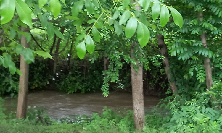 اجاره کلبه دوبلکس تک خواب عشق