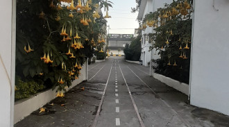 رزرو هتل اپارتمان دلفین واحد 104