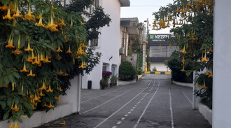 رزرو هتل اپارتمان دلفین واحد 107