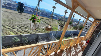 اجاره ویلا با ویو شالیزار