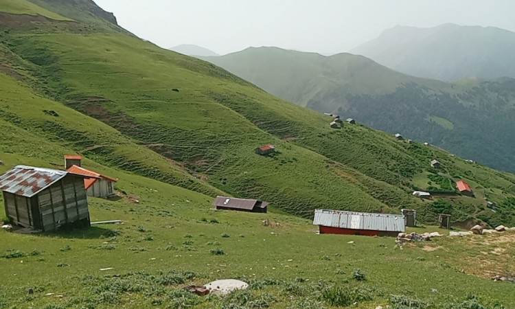 اجاره کلبه دو خوابه ییلاقی سبز