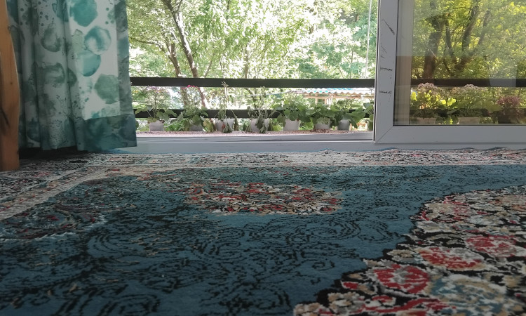اجاره ویلا دو خواب جنگلی گیجاب