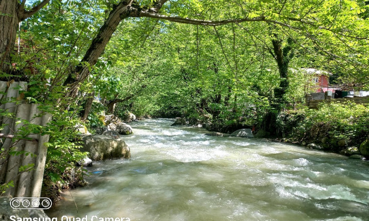 اجاره ویلا دو خواب جنگلی گیجاب
