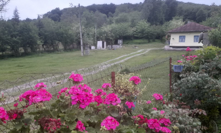 اجاره ویلا سنتی در دل جنگل