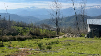 اجاره کلبه جنگلی آرامش