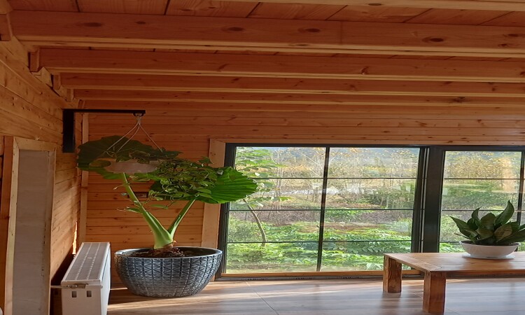 كوخ خشبي مكون من ثلاث غرف نوم للإيجار