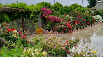 رزرو بوم گردی دوسین واحد3