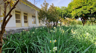 السياحة البيئية لوحدات الدوسين 4