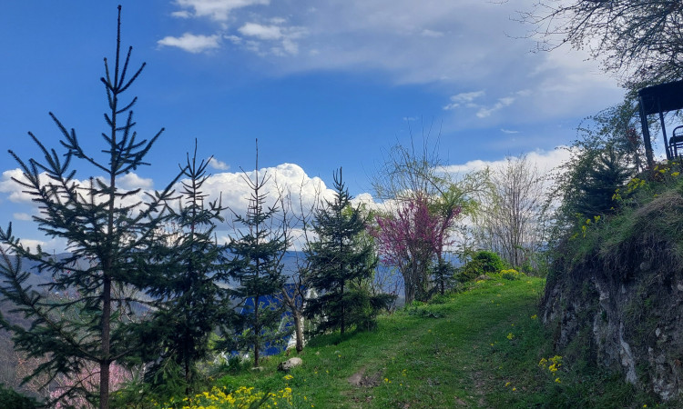 کلبه آبی (Blue Cabana)