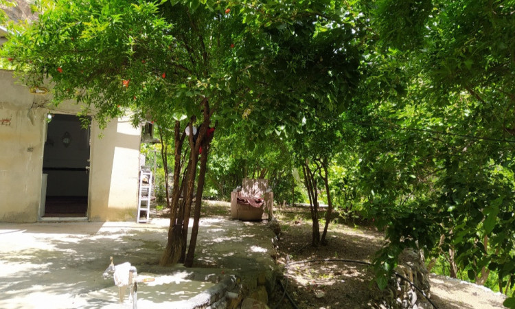 اجاره ویلا باغ سوژین پاوه