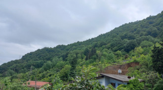 اجاره سوییت دربست جنگلی