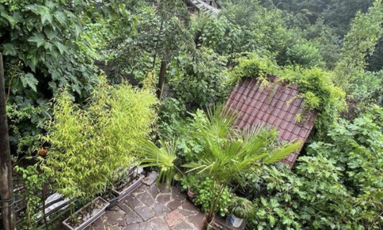 اجاره کلبه جنگلی دو خوابه توآ
