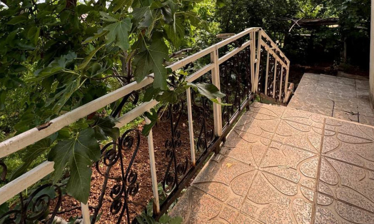 اجاره ویلا خانه سبز