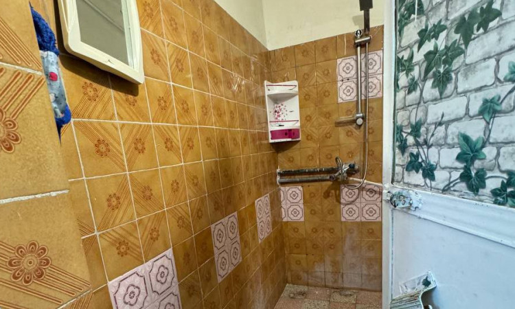 اجاره ویلا خانه سبز