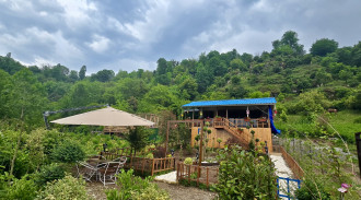 اجاره کلبه تمام جنگلی صنوبر