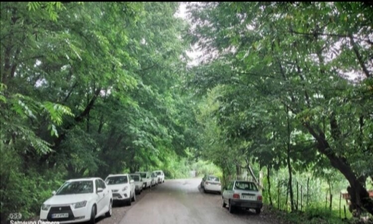 احجز حديقة فيلا غابية مع شرفة مغطاة تطل على النهر